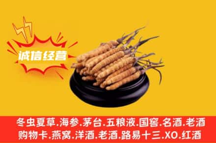 普格县回收冬虫夏草
